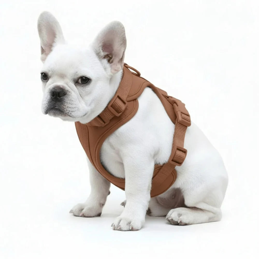 Dog Harness No Pull Lightweight Nylon