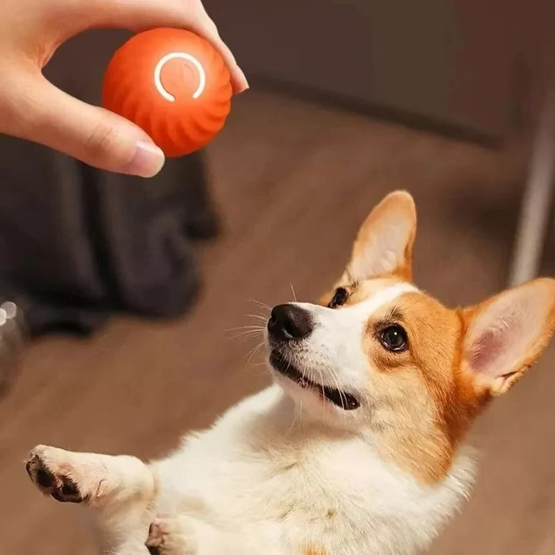 Smart Dog Toy Ball Electronic Interactive Pet Toy