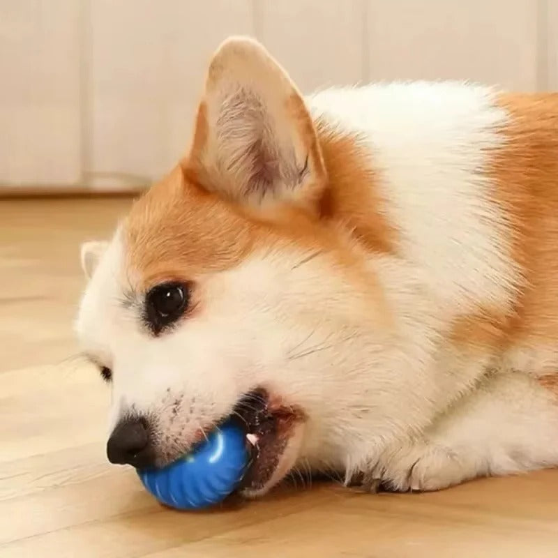 Smart Dog Toy Ball Electronic Interactive Pet Toy