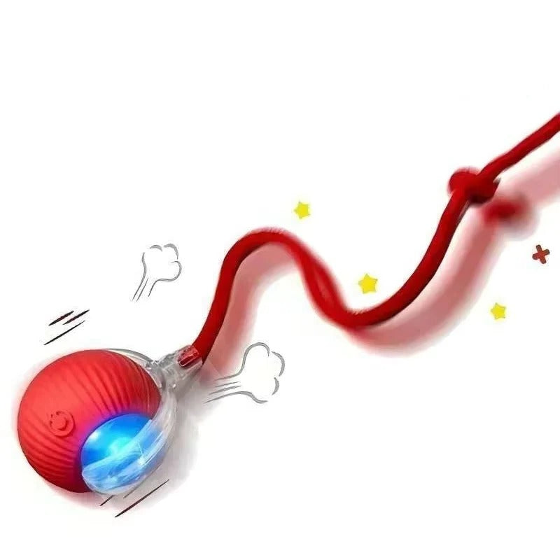 Rechargeable Smart Interactive Toy for Pets
