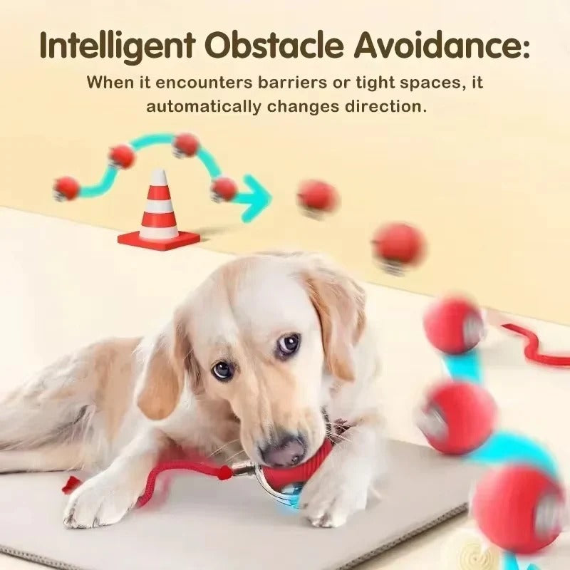Rechargeable Smart Interactive Toy for Pets