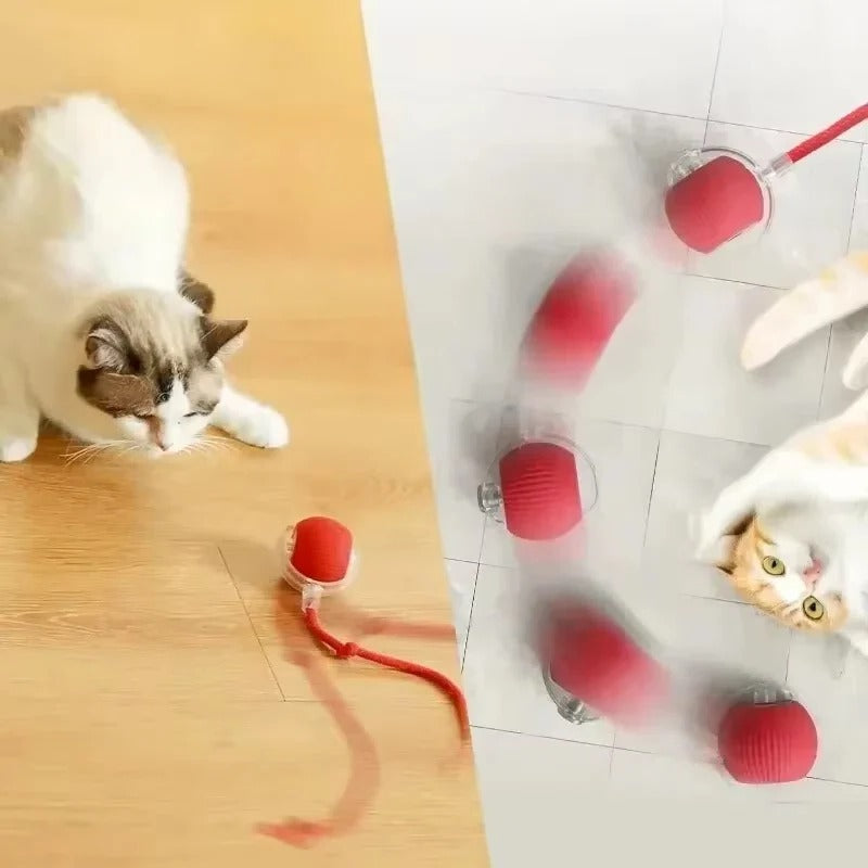 Rechargeable Smart Interactive Toy for Pets