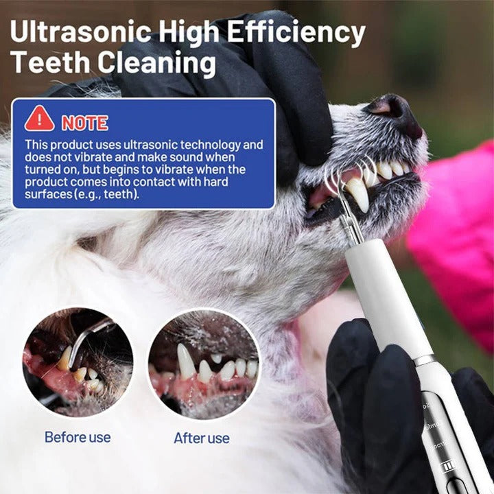 Ultrasonic Pet Dental Tool with Gentle Oral Cleaning for Dogs