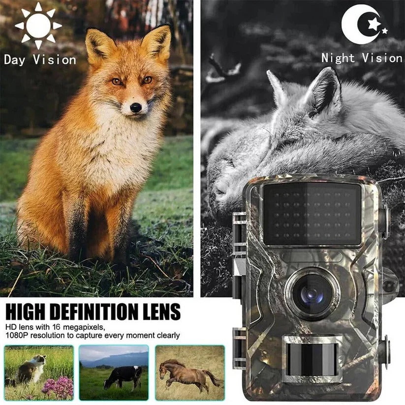 Outdoor Wildlife Camera with Infrared Night Recording