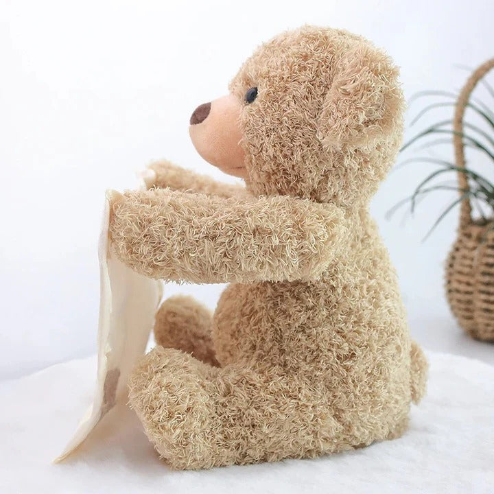 Peek A Boo Teddy Plush Toy for Baby Playtime