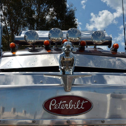 Chrome Duck Radiator Emblem with Integrated Mounting Pins and Silver Black Finish