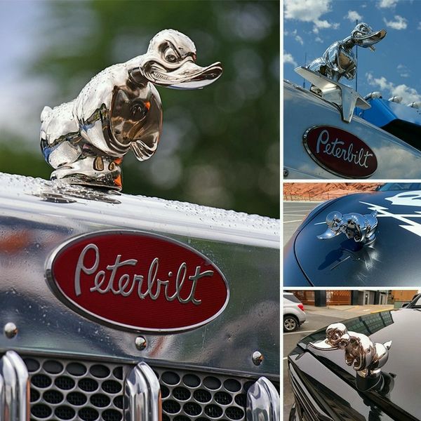 Chrome Duck Radiator Emblem with Integrated Mounting Pins and Silver Black Finish