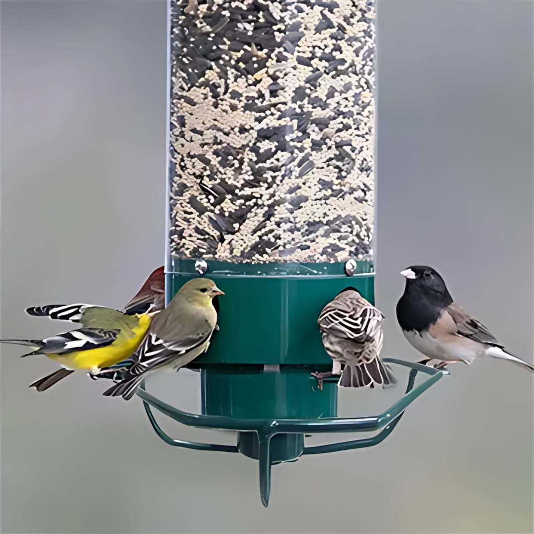 Squirrel Proof Bird Feeder  Rotating Perch Metal Design - Product example