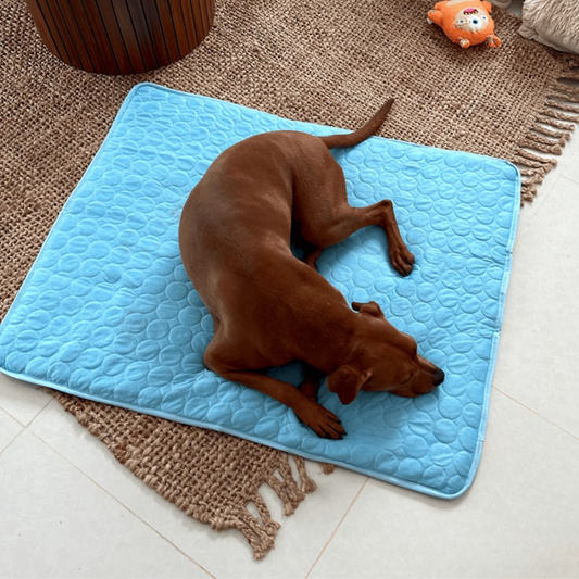 Cooling Mat for Dogs, Bite-Resistant Ice Silk Material