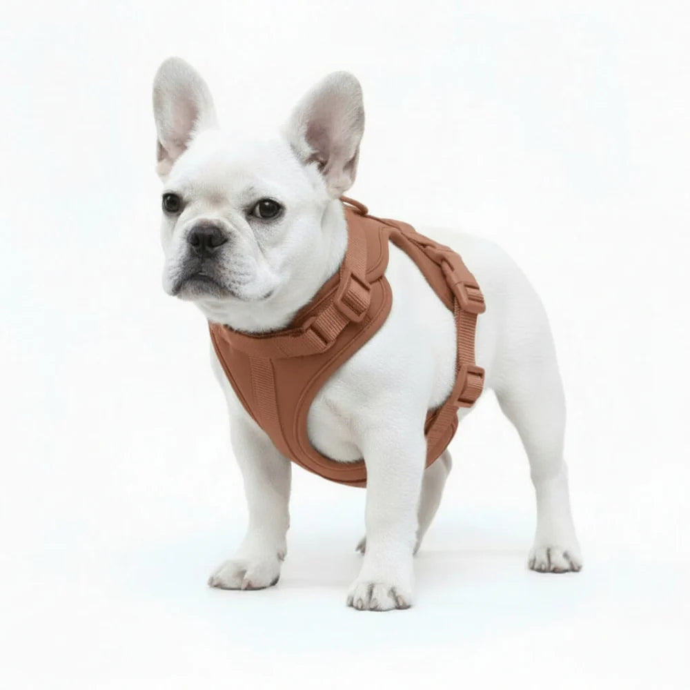 Dog Harness No Pull Lightweight Nylon