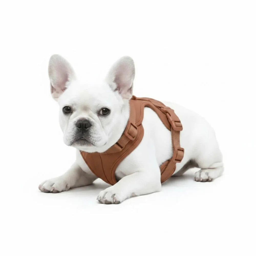 Dog Harness No Pull Lightweight Nylon