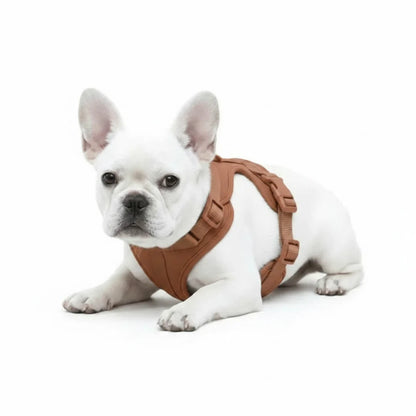 Dog Harness No Pull Lightweight Nylon
