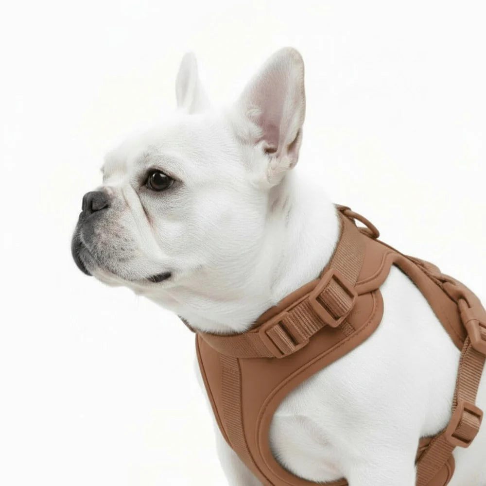 Dog Harness No Pull Lightweight Nylon