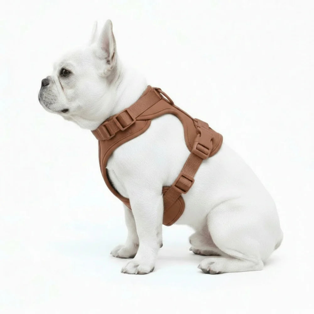 Dog Harness No Pull Lightweight Nylon