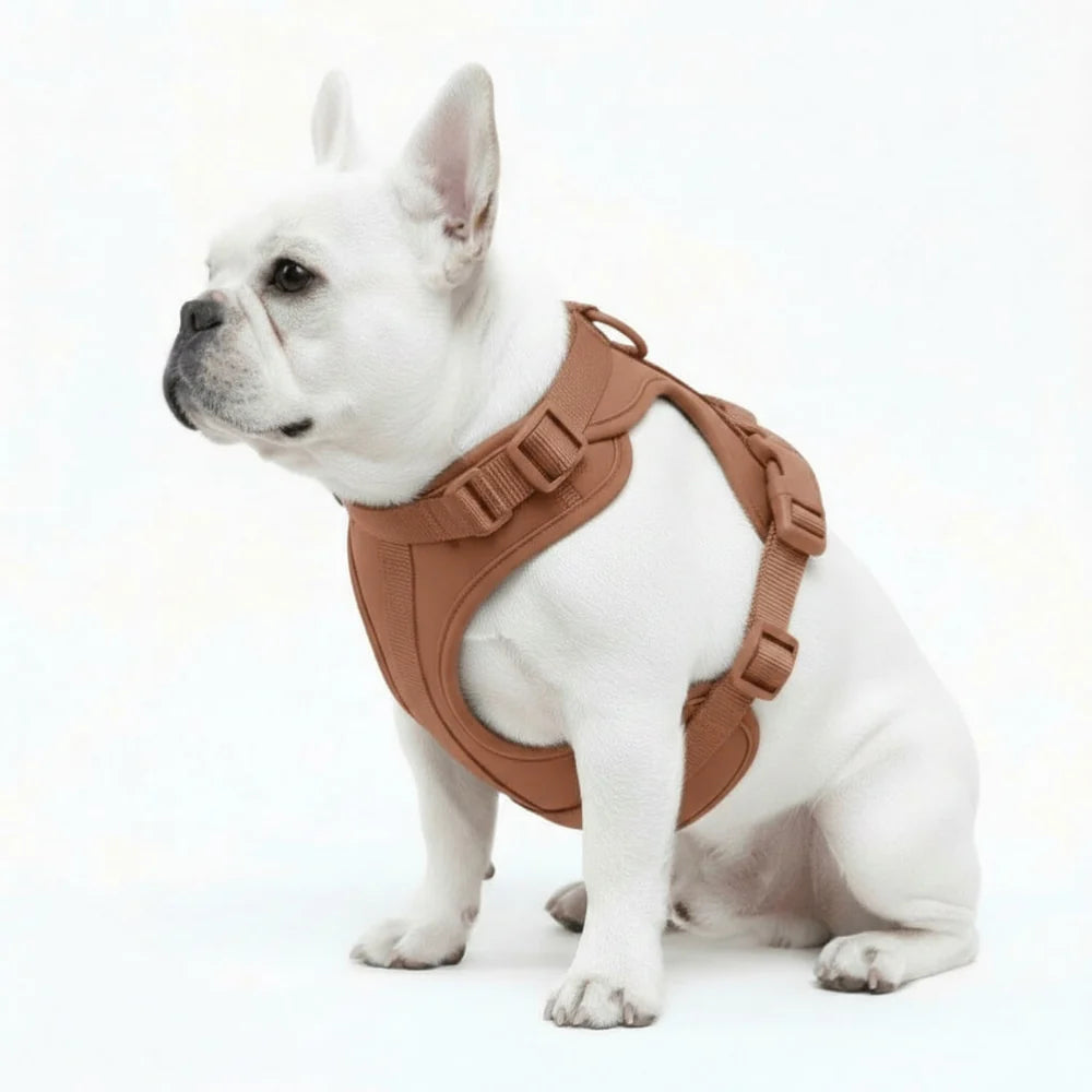 Dog Harness No Pull Lightweight Nylon