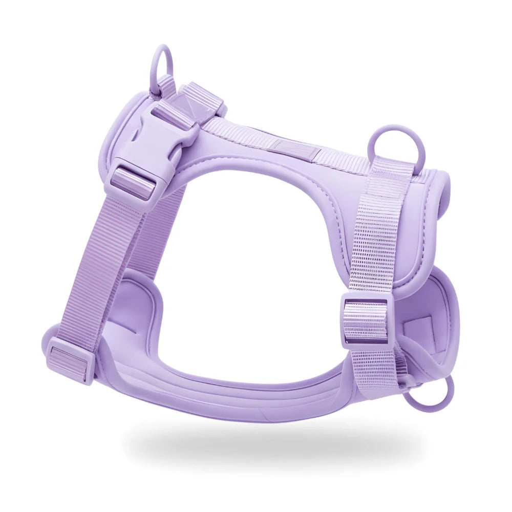 Dog Harness No Pull Lightweight Nylon