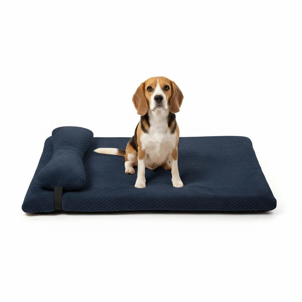Supportive Dog Bed with Pillow