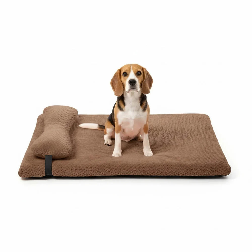 Supportive Dog Bed with Pillow