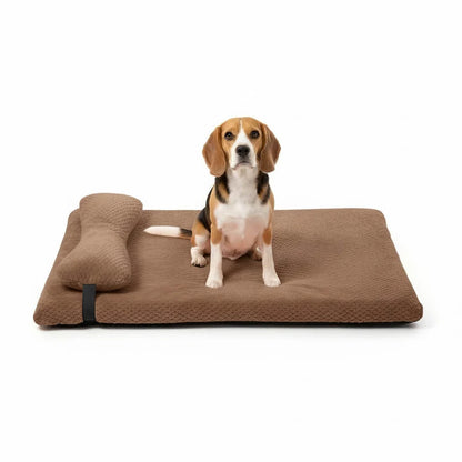 Supportive Dog Bed with Pillow