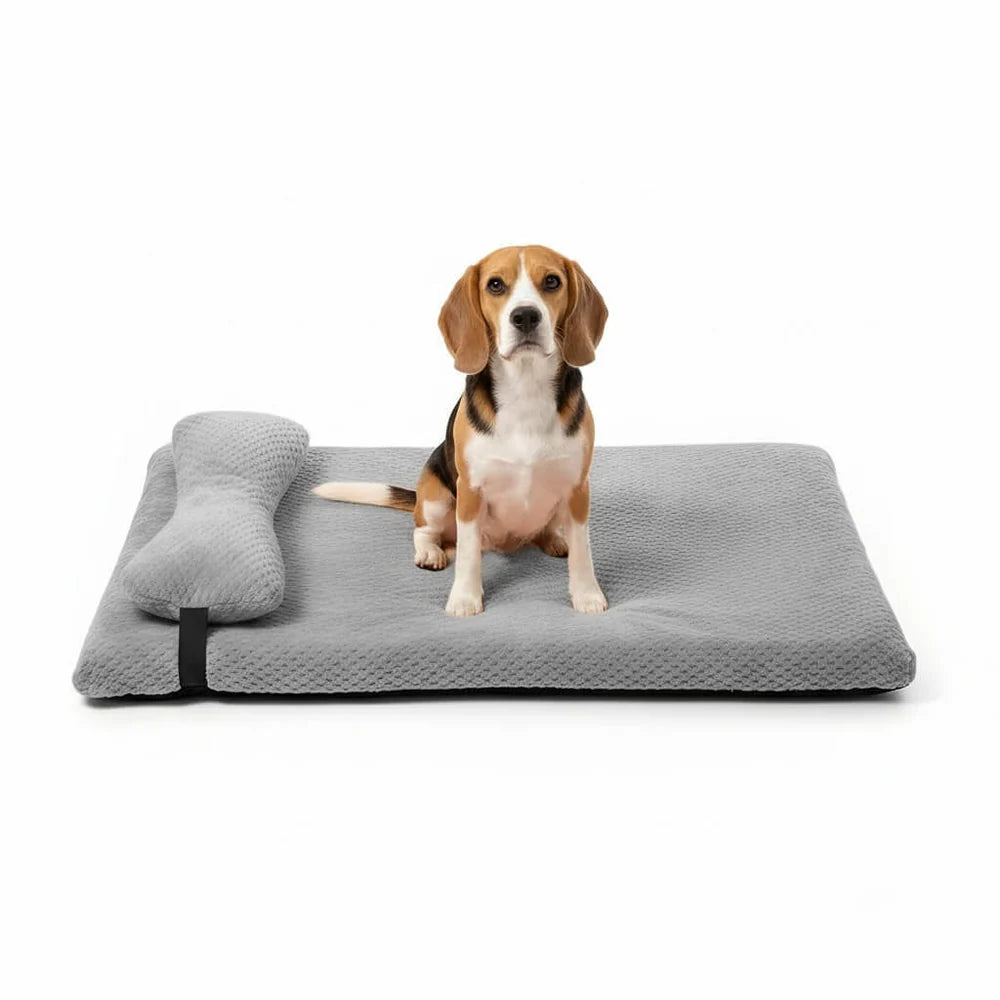 Supportive Dog Bed with Pillow
