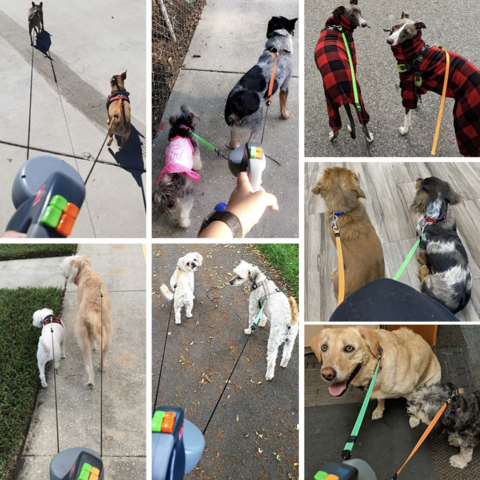DualDog Retractable Double Dog Leash 360 Degree Rotation