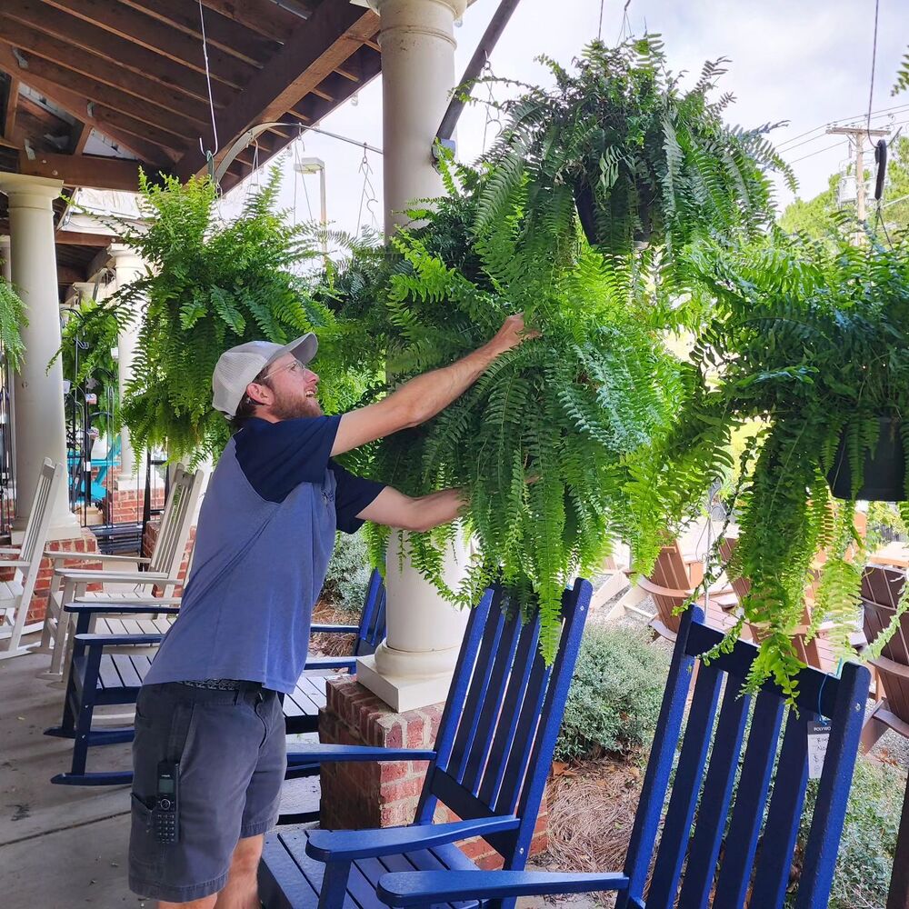 Artificial Boston Fern Set with UV Stabilized Polyethylene and Water Resistant Construction, 18 Pack