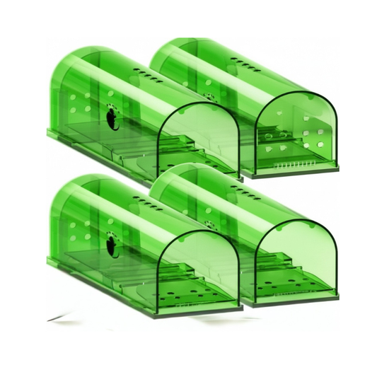 Reusable Mouse Trap Containers with One Way Entrance, Set of 4