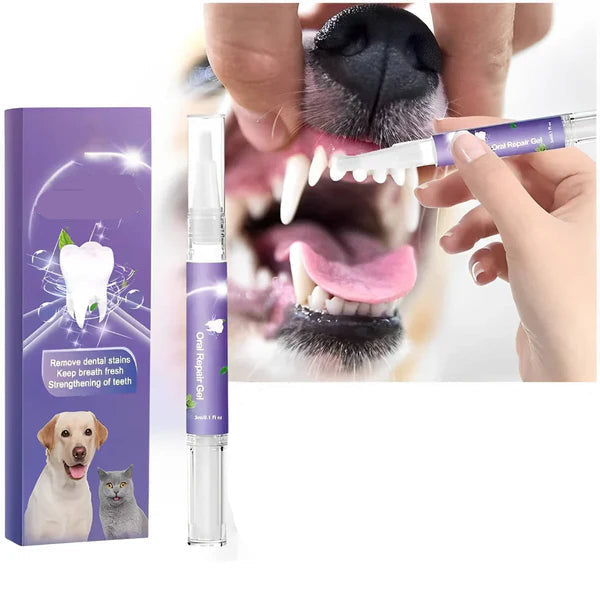 Dog Oral Gel for Teeth and Gum Care, Set of 3
