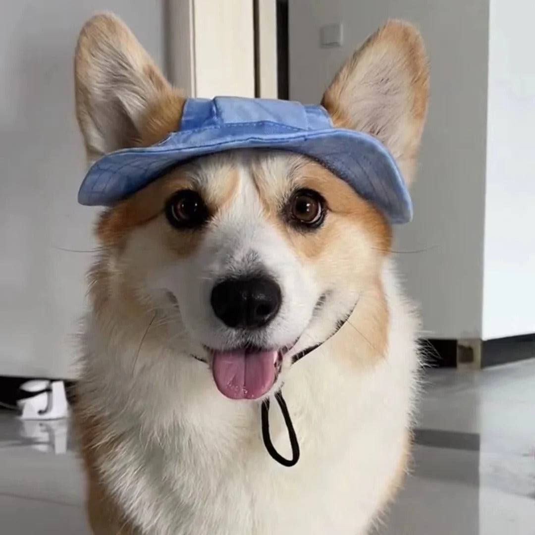 Cute Corgi Sunshade Hat For Pets