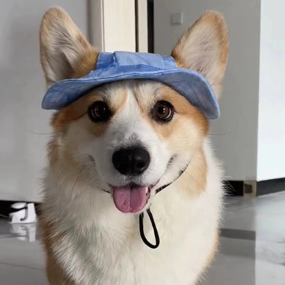 Cute Corgi Sunshade Hat For Pets