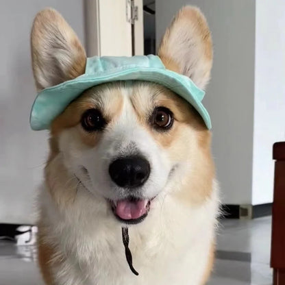 Cute Corgi Sunshade Hat For Pets