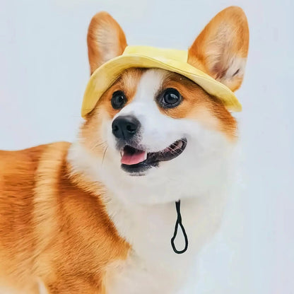 Cute Corgi Sunshade Hat For Pets