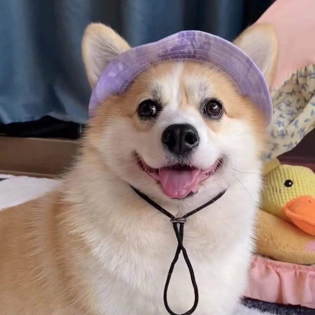 Cute Corgi Sunshade Hat For Pets