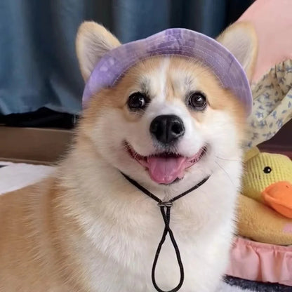 Cute Corgi Sunshade Hat For Pets