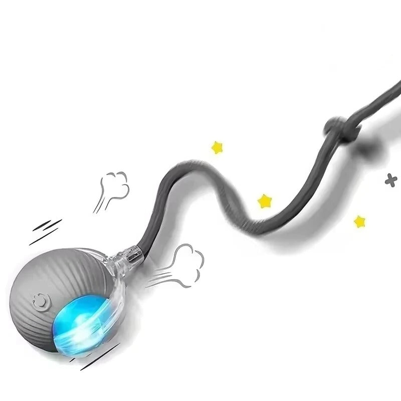 Rechargeable Smart Interactive Toy for Pets