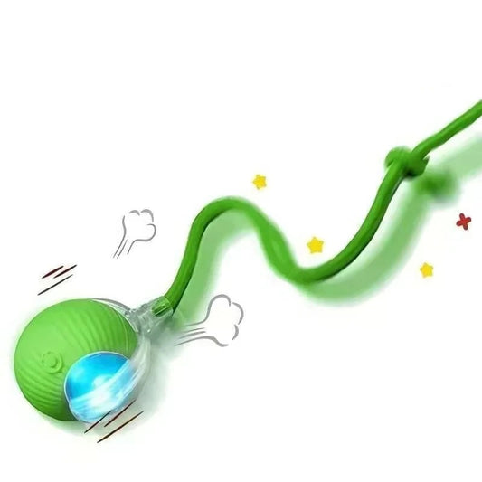 Rechargeable Smart Interactive Toy for Pets
