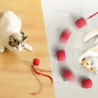 Rechargeable Smart Interactive Toy for Pets
