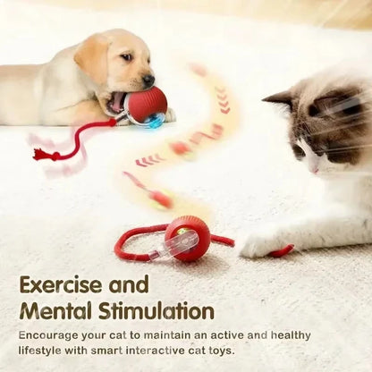 Rechargeable Smart Interactive Toy for Pets