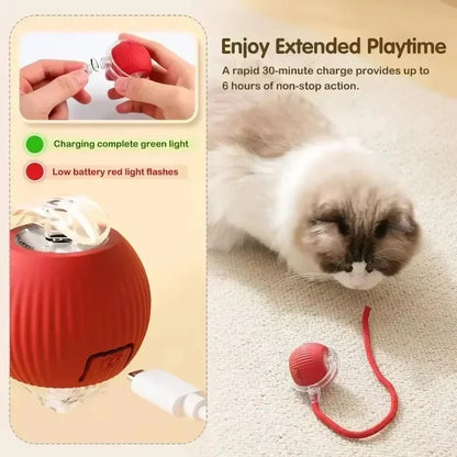 Rechargeable Smart Interactive Toy for Pets