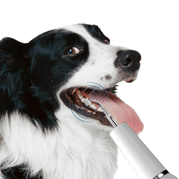 Ultrasonic Pet Dental Tool with Gentle Oral Cleaning for Dogs