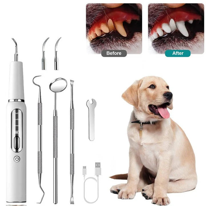 Ultrasonic Pet Dental Tool with Gentle Oral Cleaning for Dogs