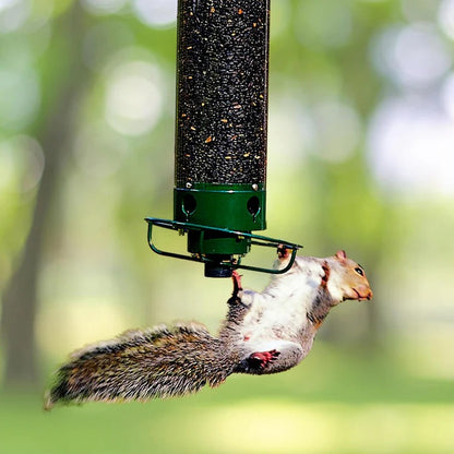 Squirrel-Proof Bird Feeder with Clear Seed Tube