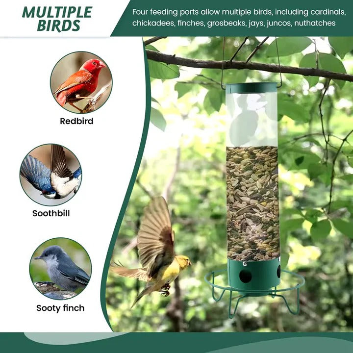 Squirrel-Proof Bird Feeder with Clear Seed Tube
