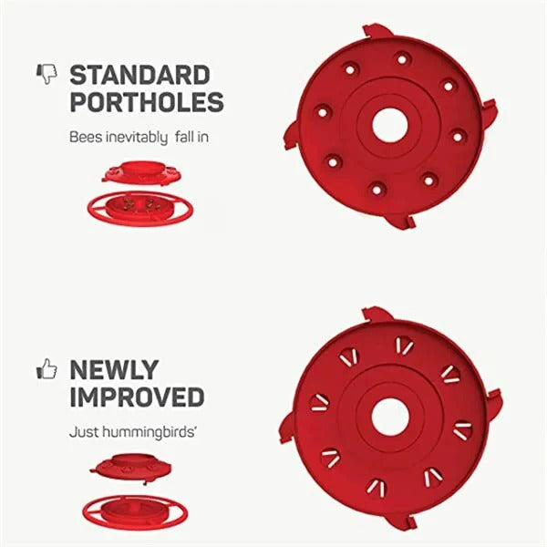 Outdoor Hummingbird Feeder with Perch and Hanger