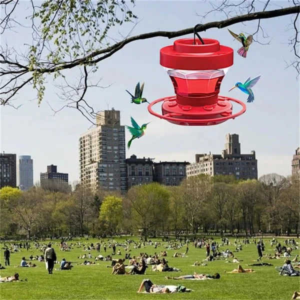 Outdoor Hummingbird Feeder with Perch and Hanger