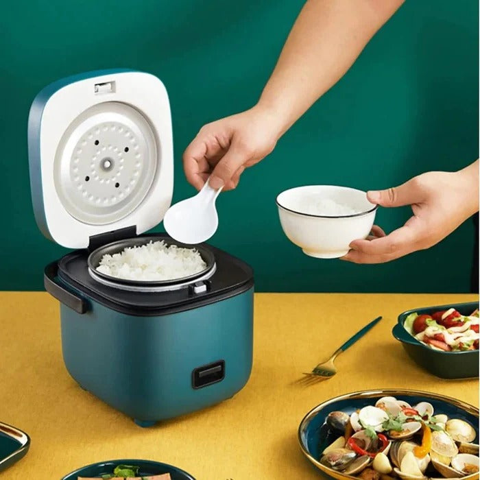 Mini Rice Cooker with Keep Warm Function