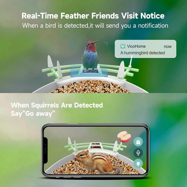 WiFi Connected Bird Feeder with Built-in Camera