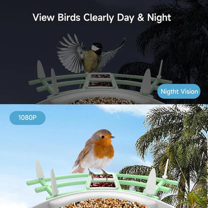 WiFi Connected Bird Feeder with Built-in Camera