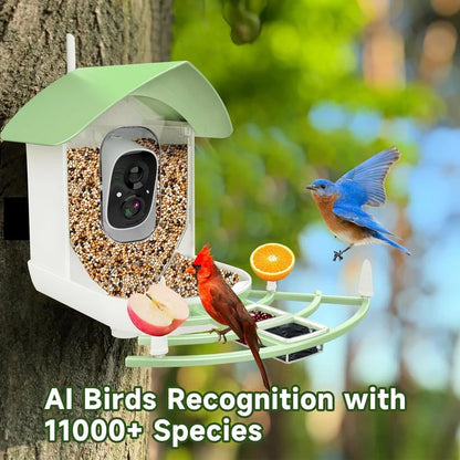 WiFi Connected Bird Feeder with Built-in Camera