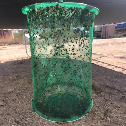 Fly Trap for Yards and Stables